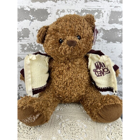 I Am Loved Teddy Bear 2005 Helzberg Diamonds Stuffed Bear Gift‎ Pouch Backpack - Picture 6 of 11